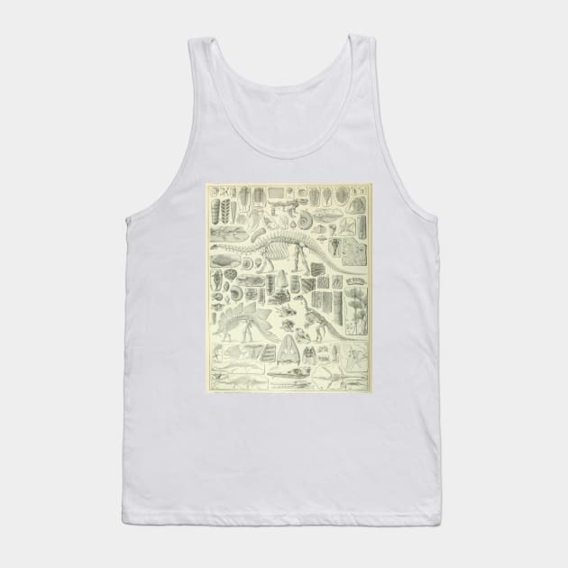 Fossil Chart Tank Top by bluespecsstudio